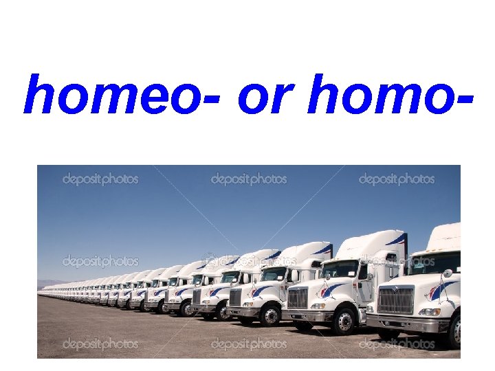 homeo- or homo- 