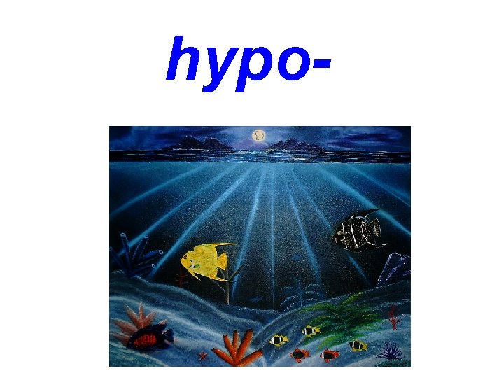 hypo- 