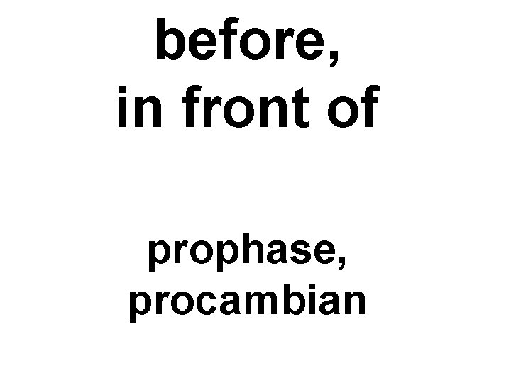 before, in front of prophase, procambian 