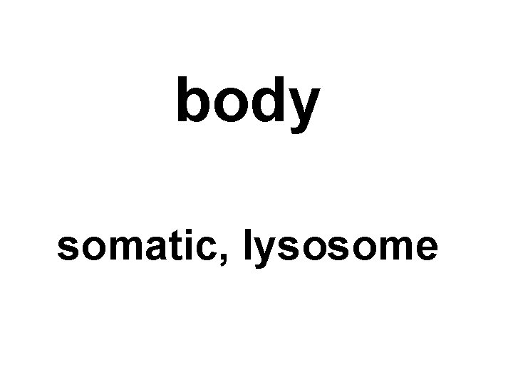 body somatic, lysosome 