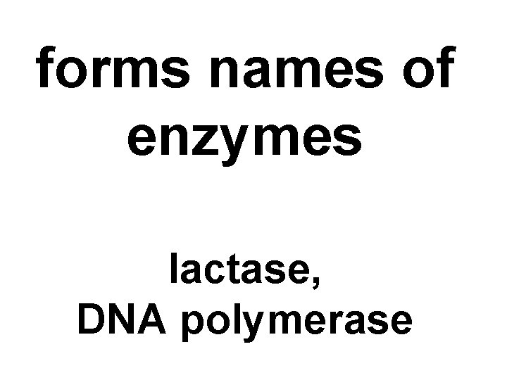 forms names of enzymes lactase, DNA polymerase 