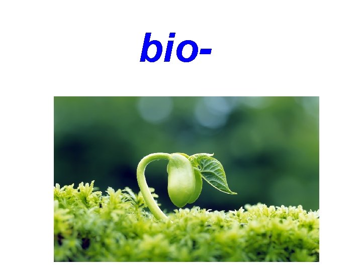 bio- 