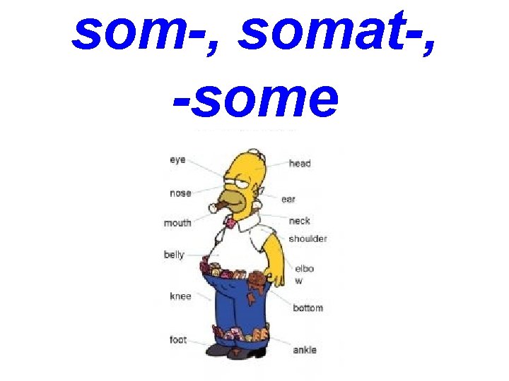 som-, somat-, -some 