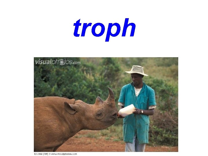 troph 