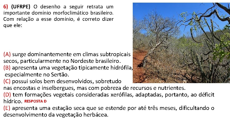 6) (UFRPE) O desenho a seguir retrata um importante domínio morfoclimático brasileiro. Com relação