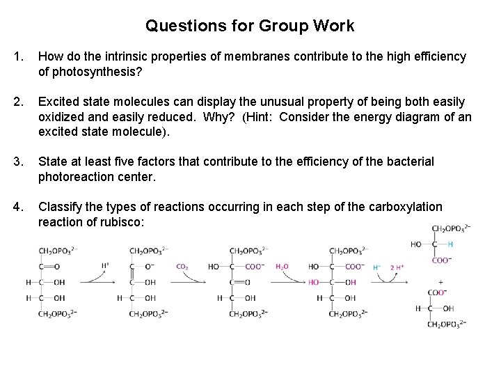 Questions for Group Work 1. How do the intrinsic properties of membranes contribute to