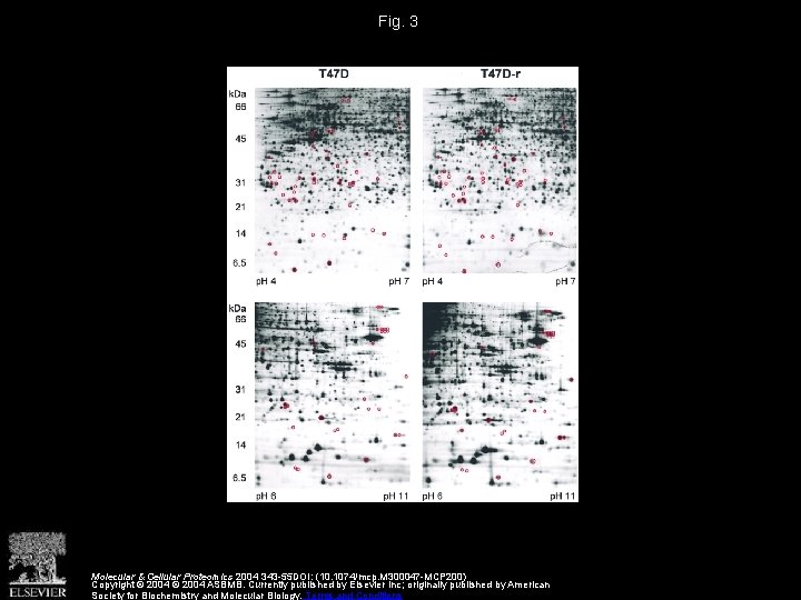 Fig. 3 Molecular & Cellular Proteomics 2004 343 -55 DOI: (10. 1074/mcp. M 300047