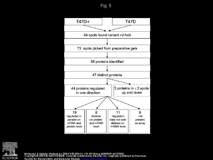 Fig. 5 Molecular & Cellular Proteomics 2004 343 -55 DOI: (10. 1074/mcp. M 300047