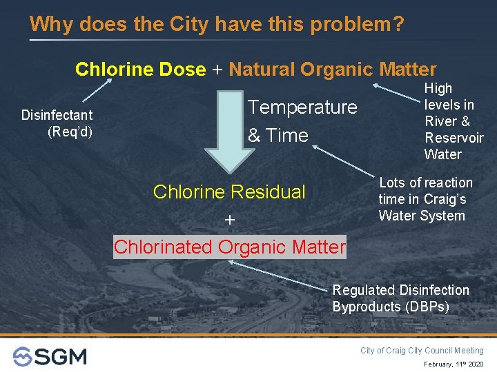 Why does the City have this problem? Chlorine Dose + Natural Organic Matter Disinfectant