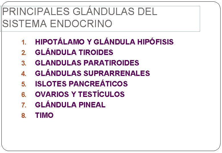 PRINCIPALES GLÁNDULAS DEL SISTEMA ENDOCRINO 1. 2. 3. 4. 5. 6. 7. 8. HIPOTÁLAMO PRINCIPALES GLÁNDULAS DEL SISTEMA ENDOCRINO 1. 2. 3. 4. 5. 6. 7. 8. HIPOTÁLAMO