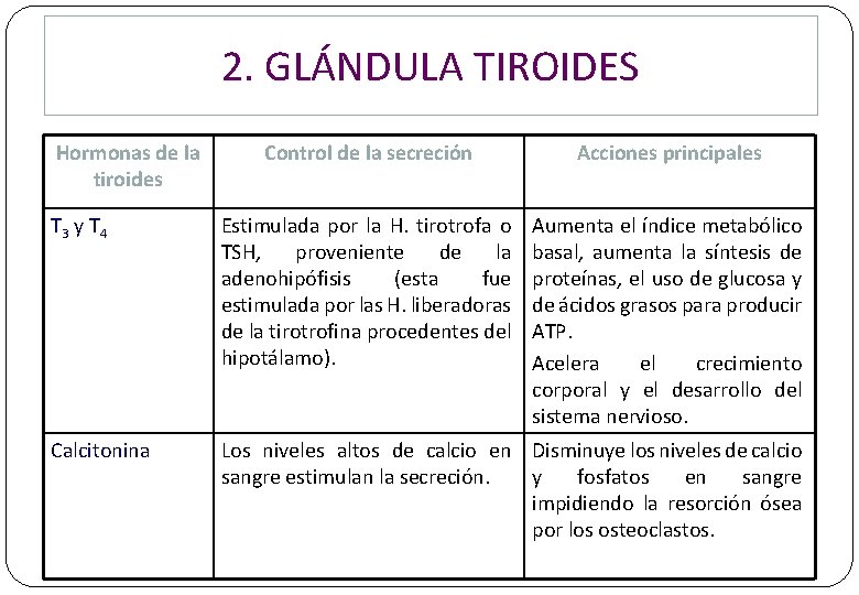 2. GLÁNDULA TIROIDES Hormonas de la tiroides Control de la secreción Acciones principales T 2. GLÁNDULA TIROIDES Hormonas de la tiroides Control de la secreción Acciones principales T