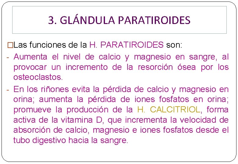 3. GLÁNDULA PARATIROIDES �Las funciones de la H. PARATIROIDES son: - Aumenta el nivel 3. GLÁNDULA PARATIROIDES �Las funciones de la H. PARATIROIDES son: - Aumenta el nivel