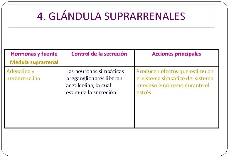 4. GLÁNDULA SUPRARRENALES Hormonas y fuente Médula suprarrenal Adenalina y noradrenalina Control de la 4. GLÁNDULA SUPRARRENALES Hormonas y fuente Médula suprarrenal Adenalina y noradrenalina Control de la