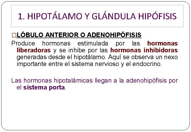 1. HIPOTÁLAMO Y GLÁNDULA HIPÓFISIS �LÓBULO ANTERIOR O ADENOHIPÓFISIS Produce hormonas estimulada por las 1. HIPOTÁLAMO Y GLÁNDULA HIPÓFISIS �LÓBULO ANTERIOR O ADENOHIPÓFISIS Produce hormonas estimulada por las
