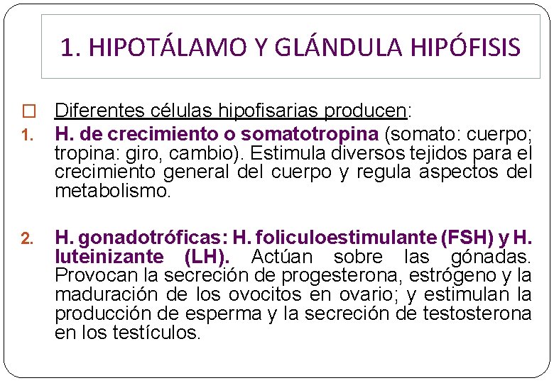 1. HIPOTÁLAMO Y GLÁNDULA HIPÓFISIS � Diferentes células hipofisarias producen: 1. H. de crecimiento 1. HIPOTÁLAMO Y GLÁNDULA HIPÓFISIS � Diferentes células hipofisarias producen: 1. H. de crecimiento