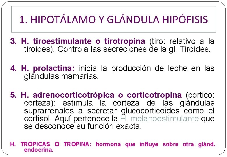 1. HIPOTÁLAMO Y GLÁNDULA HIPÓFISIS 3. H. tiroestimulante o tirotropina (tiro: relativo a la 1. HIPOTÁLAMO Y GLÁNDULA HIPÓFISIS 3. H. tiroestimulante o tirotropina (tiro: relativo a la
