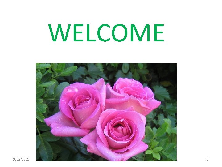 WELCOME 9/23/2021 1 WELCOME 9/23/2021 1