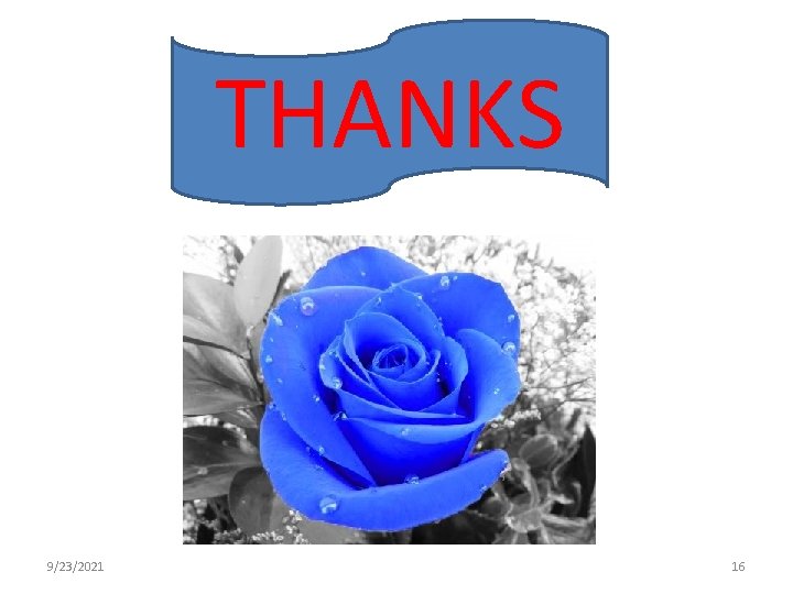 THANKS 9/23/2021 16 THANKS 9/23/2021 16
