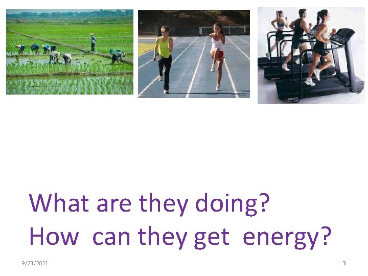 What are they doing? How can they get energy? 9/23/2021 3 What are they doing? How can they get energy? 9/23/2021 3