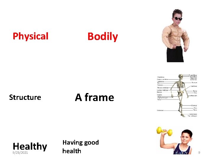 Physical Structure Healthy 9/23/2021 Bodily A frame Having good health 9 Physical Structure Healthy 9/23/2021 Bodily A frame Having good health 9