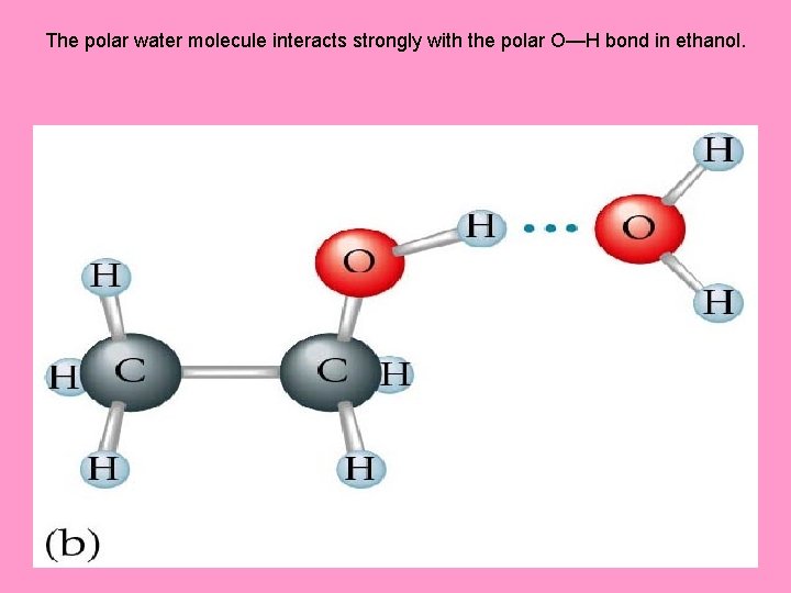The polar water molecule interacts strongly with the polar O—H bond in ethanol. 