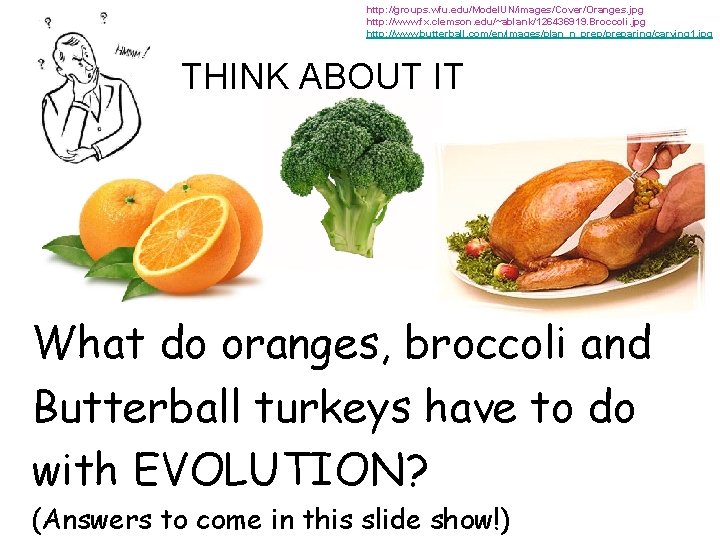 http: //groups. wfu. edu/Model. UN/images/Cover/Oranges. jpg http: //www. fx. clemson. edu/~ablank/126436919. Broccoli. jpg http: