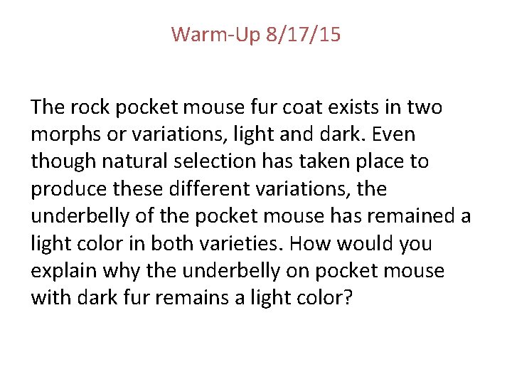 Warm-Up 8/17/15 The rock pocket mouse fur coat exists in two morphs or variations,
