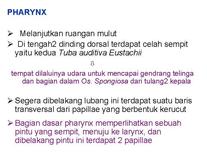 PHARYNX Melanjutkan ruangan mulut Di tengah 2 dinding dorsal terdapat celah sempit yaitu kedua