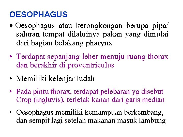 OESOPHAGUS · Oesophagus atau kerongkongan berupa pipa/ saluran tempat dilaluinya pakan yang dimulai dari