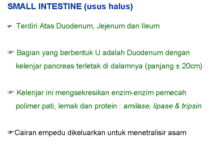 SMALL INTESTINE (usus halus) Terdiri Atas Duodenum, Jejenum dan Ileum Bagian yang berbentuk U
