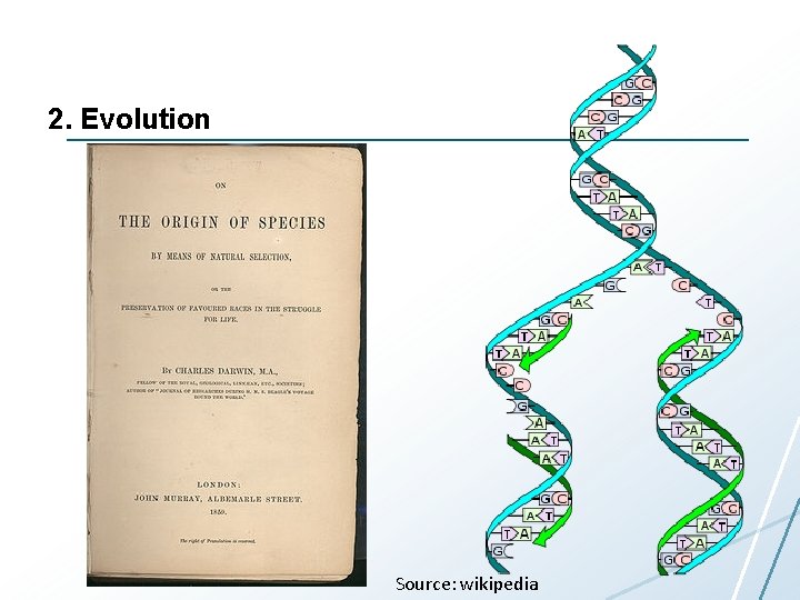 2. Evolution Source: wikipedia 2. Evolution Source: wikipedia