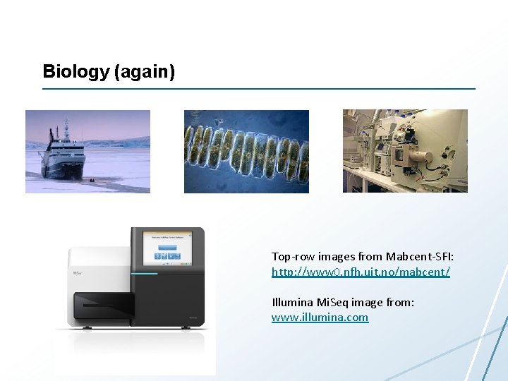 Biology (again) Top-row images from Mabcent-SFI: http: //www 0. nfh. uit. no/mabcent/ Illumina Mi. Biology (again) Top-row images from Mabcent-SFI: http: //www 0. nfh. uit. no/mabcent/ Illumina Mi.
