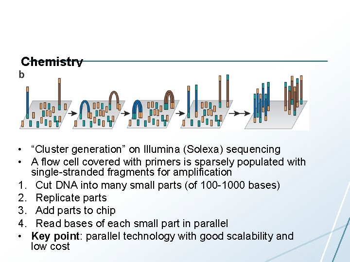 Chemistry • “Cluster generation” on Illumina (Solexa) sequencing • A flow cell covered with Chemistry • “Cluster generation” on Illumina (Solexa) sequencing • A flow cell covered with
