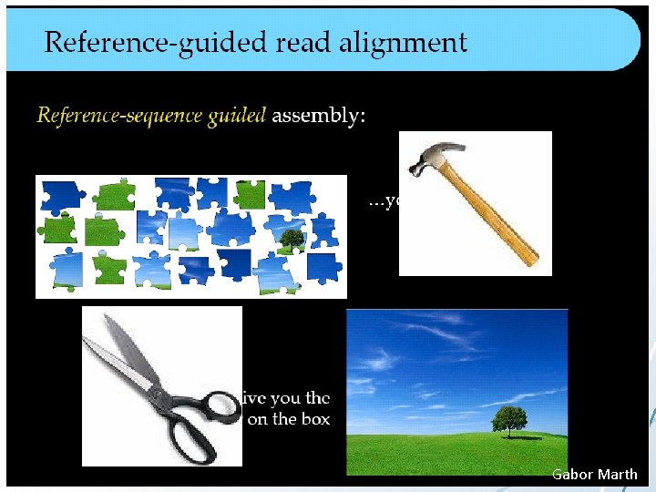 Gabor Marth Gabor Marth