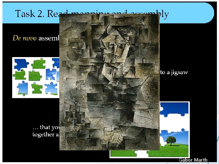 Gabor Marth Gabor Marth