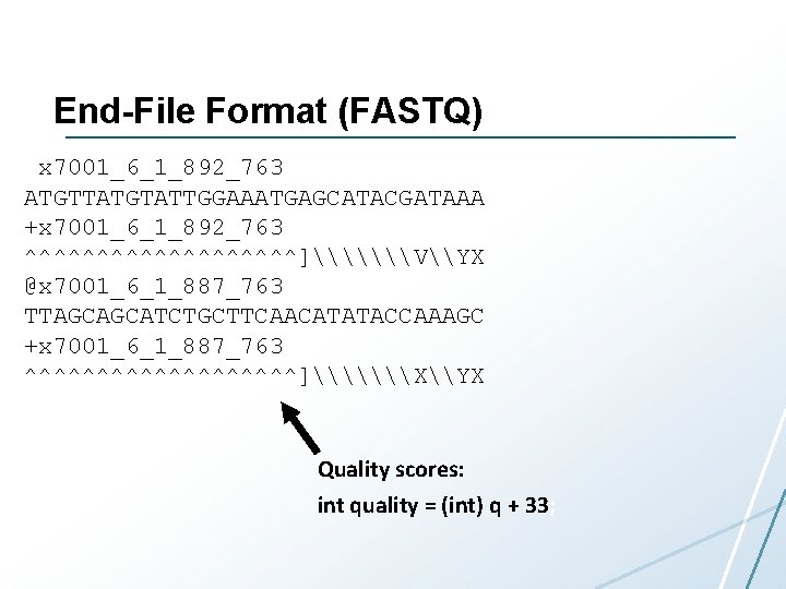 End-File Format (FASTQ) @x 7001_6_1_892_763 ATGTTATGTATTGGAAATGAGCATACGATAAA +x 7001_6_1_892_763 ^^^^^^^^^^]\\\V\YX @x 7001_6_1_887_763 TTAGCAGCATCTGCTTCAACATATACCAAAGC +x 7001_6_1_887_763