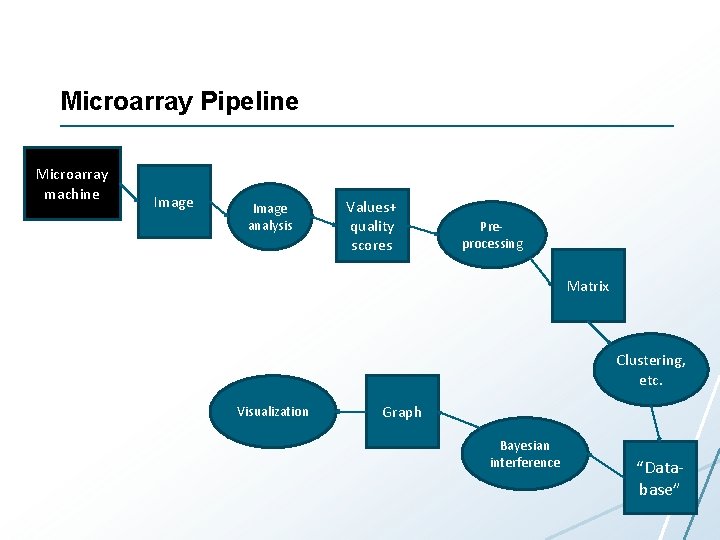 Microarray Pipeline Microarray machine Image analysis Values+ quality scores Preprocessing Matrix Clustering, etc. Visualization Microarray Pipeline Microarray machine Image analysis Values+ quality scores Preprocessing Matrix Clustering, etc. Visualization