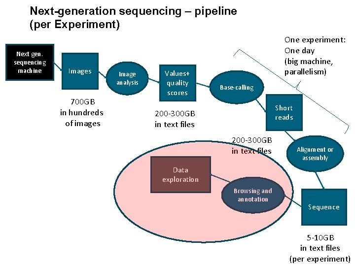 Next-generation sequencing – pipeline (per Experiment) Next gen. sequencing machine Images 700 GB in Next-generation sequencing – pipeline (per Experiment) Next gen. sequencing machine Images 700 GB in