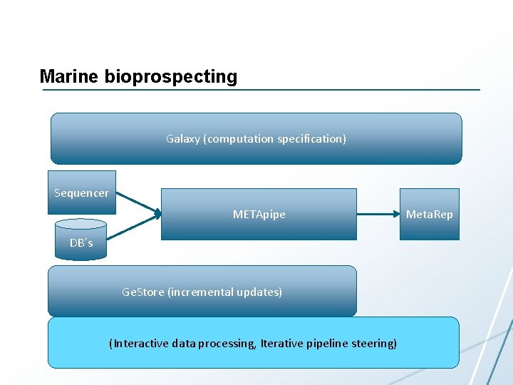 Marine bioprospecting Galaxy (computation specification) Sequencer METApipe DB´s Ge. Store (incremental updates) (Interactive data Marine bioprospecting Galaxy (computation specification) Sequencer METApipe DB´s Ge. Store (incremental updates) (Interactive data