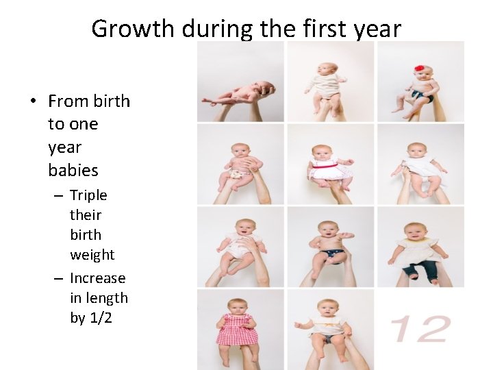 Growth during the first year • From birth to one year babies – Triple