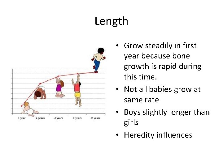 Length • Grow steadily in first year because bone growth is rapid during this