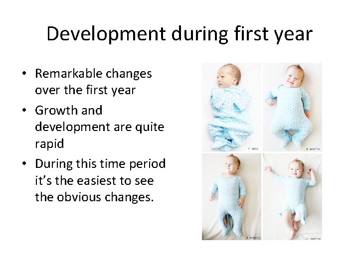 Development during first year • Remarkable changes over the first year • Growth and