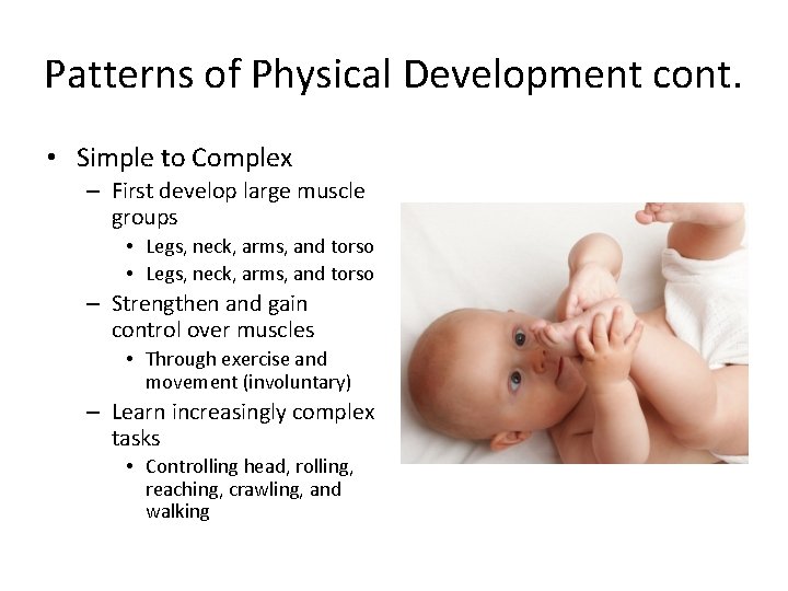 Patterns of Physical Development cont. • Simple to Complex – First develop large muscle