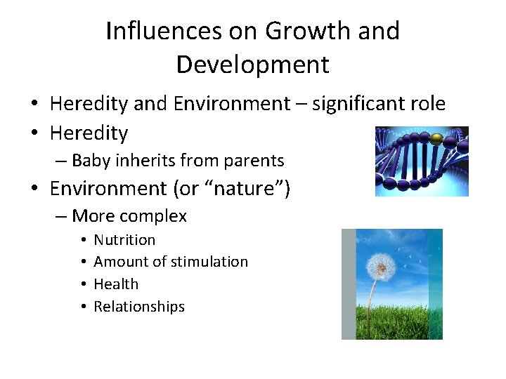 Influences on Growth and Development • Heredity and Environment – significant role • Heredity