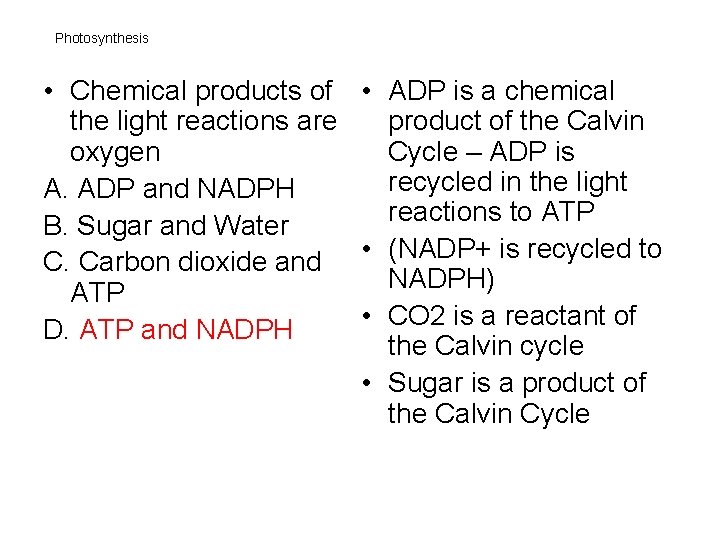 Photosynthesis • Chemical products of • ADP is a chemical the light reactions are