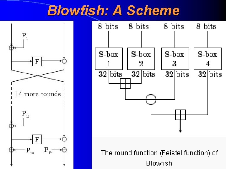 Blowfish: A Scheme 