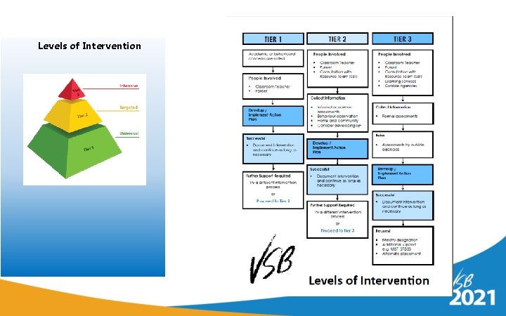 Levels of Intervention 
