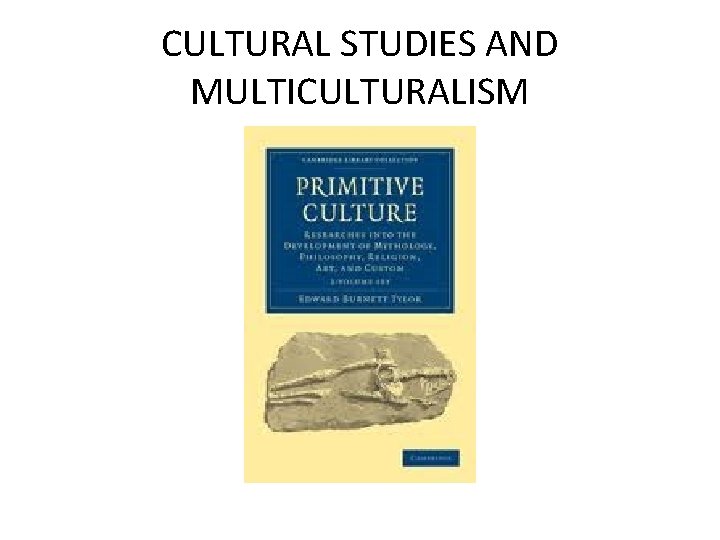 CULTURAL STUDIES AND MULTICULTURALISM CULTURAL STUDIES AND MULTICULTURALISM