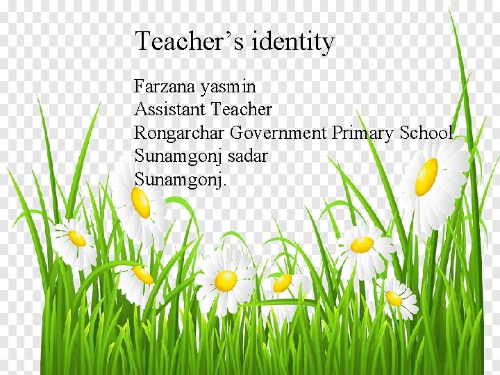 Teacher’s identity Farzana yasmin Assistant Teacher Rongarchar Government Primary School Sunamgonj sadar Sunamgonj. 