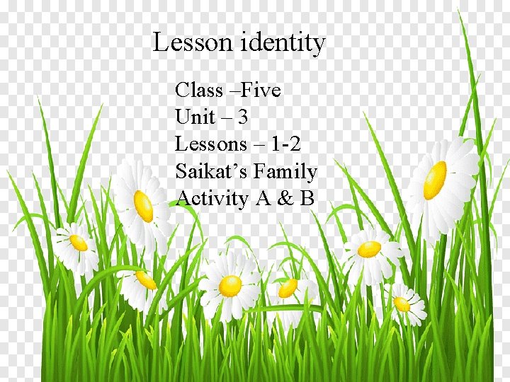 Lesson identity Class –Five Unit – 3 Lessons – 1 -2 Saikat’s Family Activity